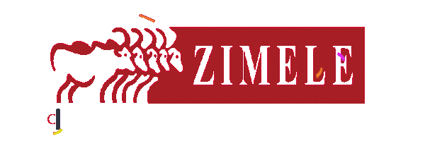 Zimele Asset Management